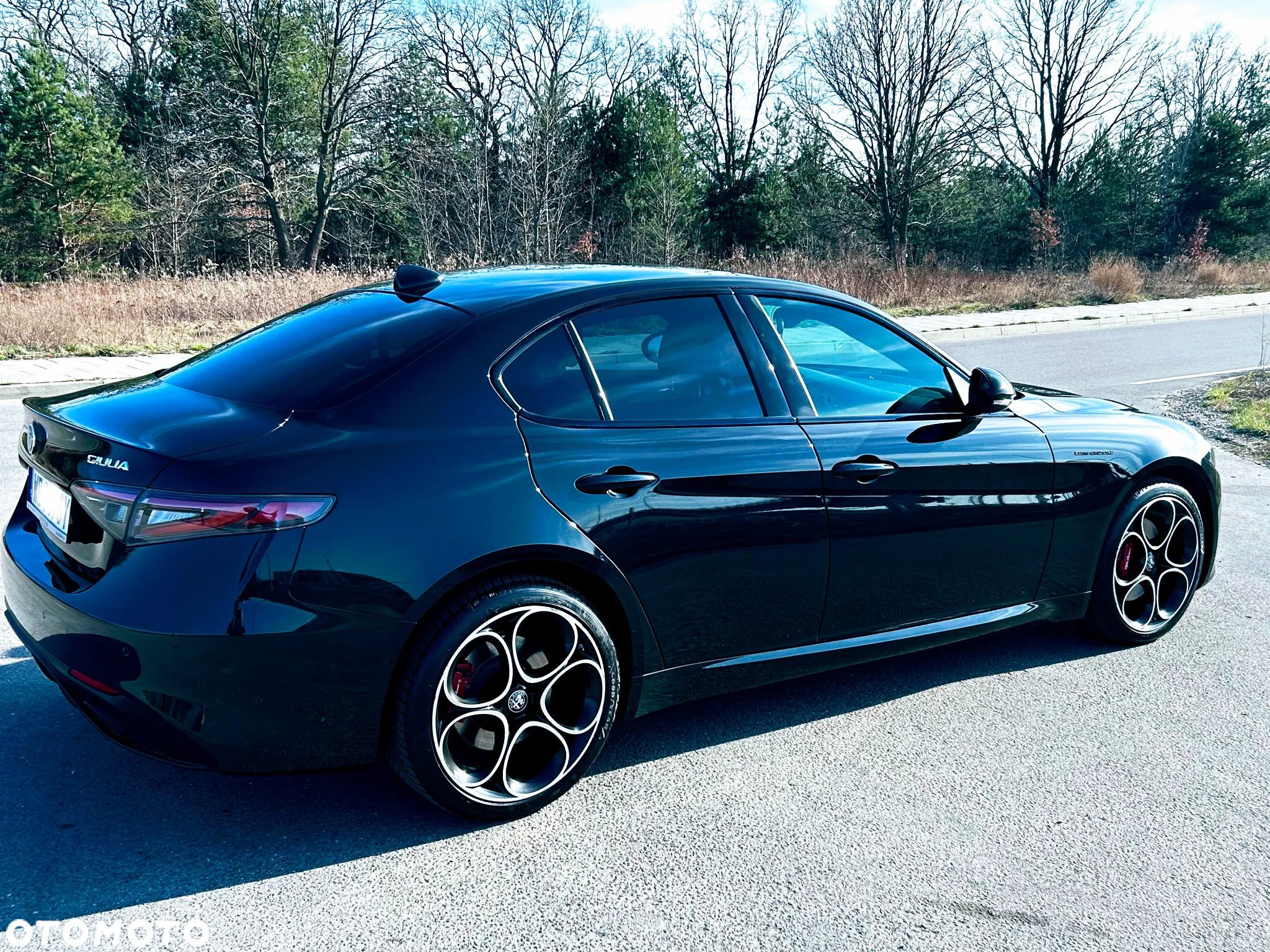 Alfa Romeo Giulia 2.0 Turbo Competizione Q4 - 2