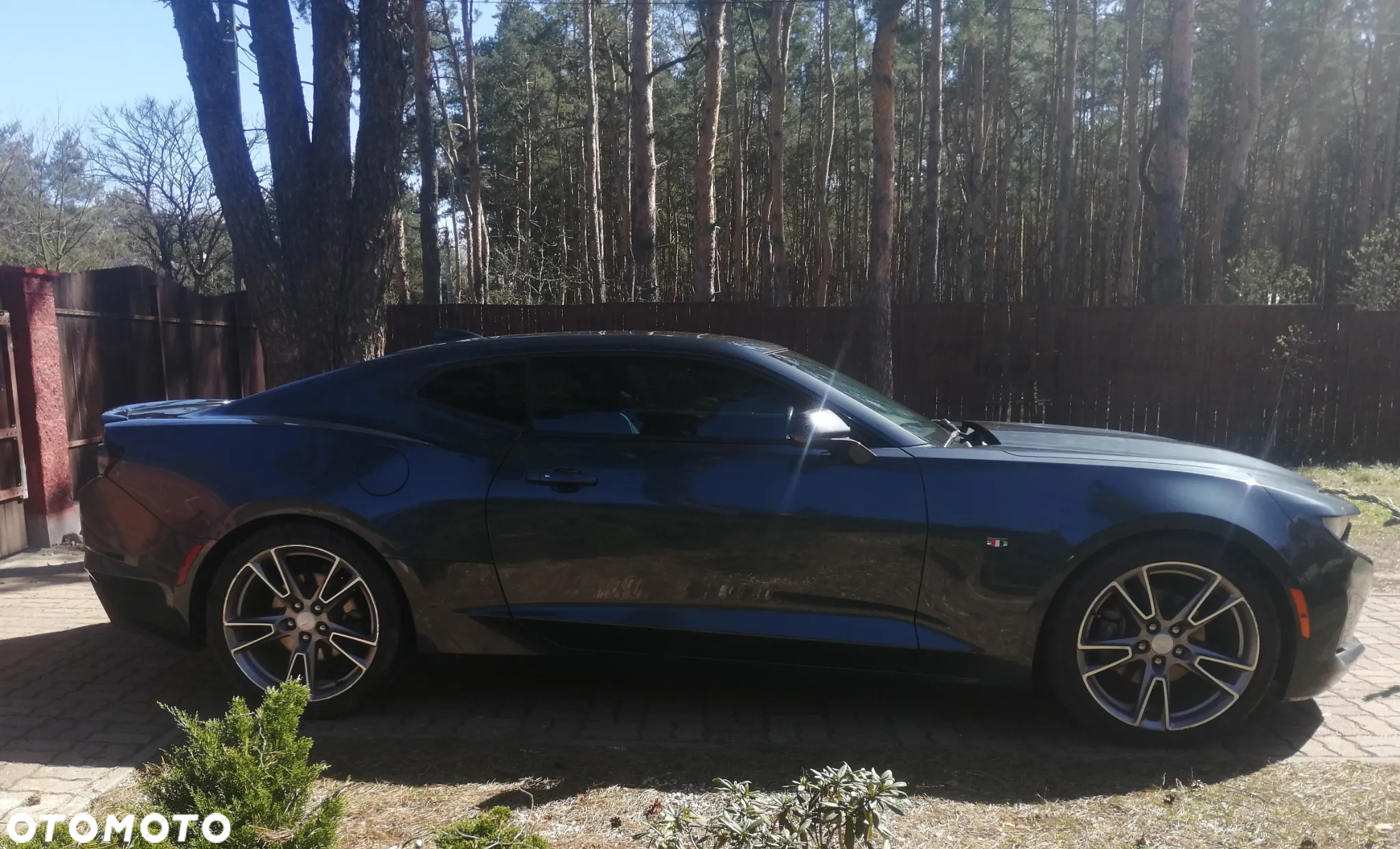 Chevrolet Camaro - 8