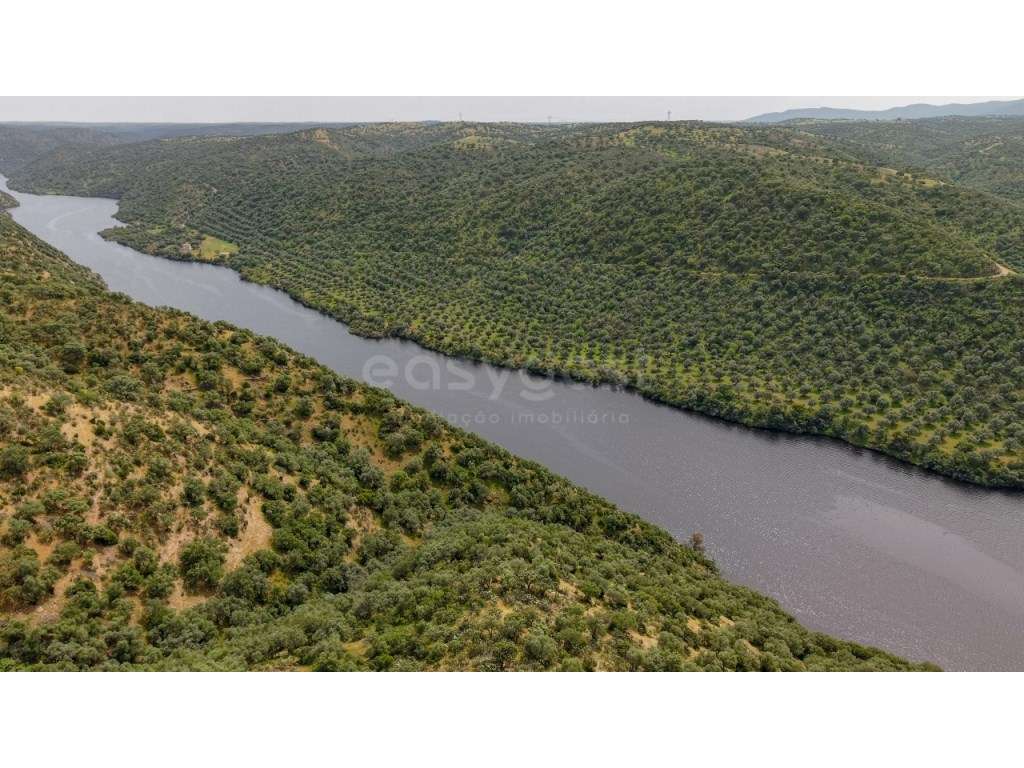 Herdade com acesso direto ao Rio Tejo Parque Natural do Tejo Intern... - Grande imagem: 4/15
