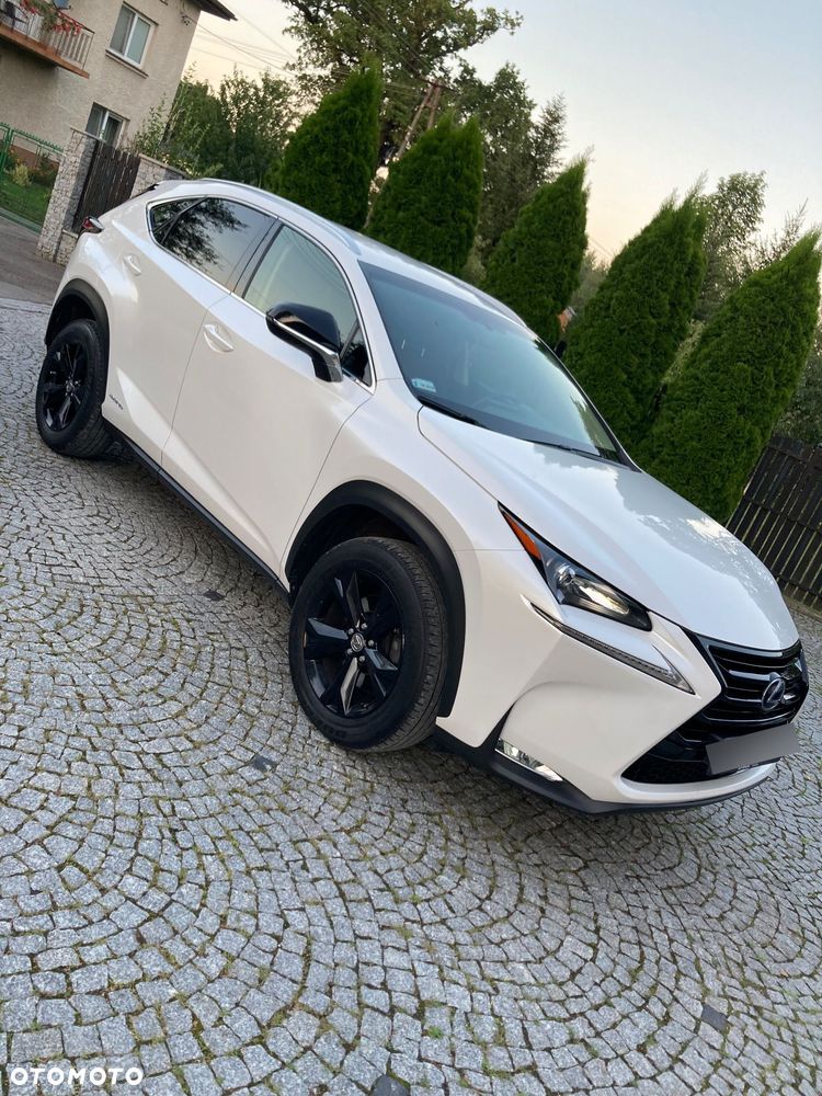 Lexus NX 300h Elite AWD - 4