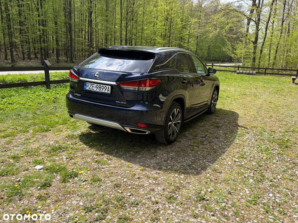 Lexus RX 300 Business Edition + - 5