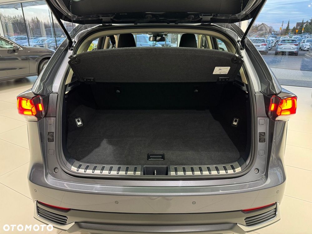 Lexus NX 300h Business Edition AWD - 17