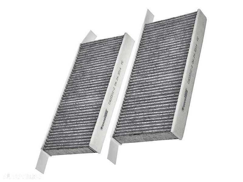 Filtru polen carbon, habitaclu Aster, Renault Laguna III, 2007-2015 - 1