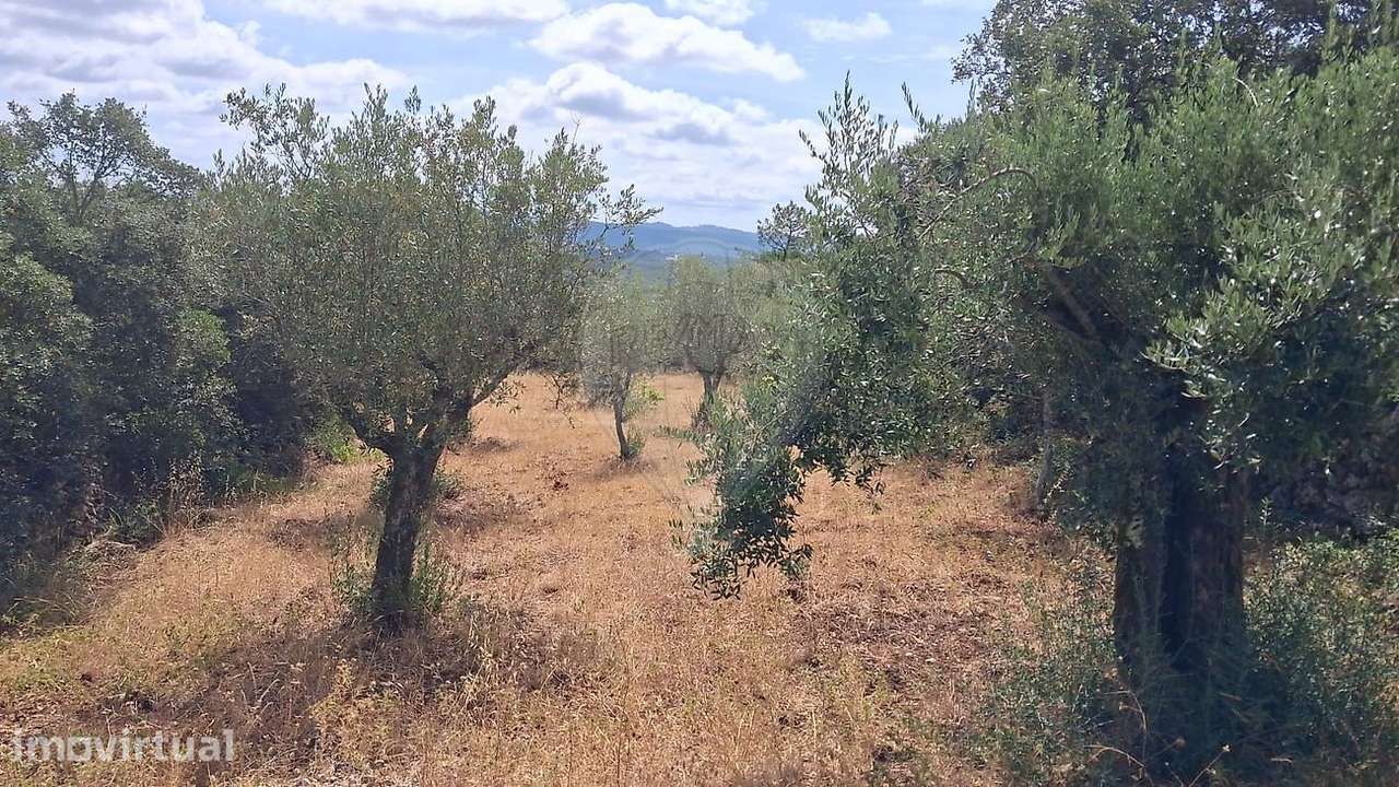 Terreno  para venda - Grande imagem: 2/4