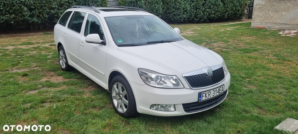 Skoda Octavia 1.6 TDI Classic - 2