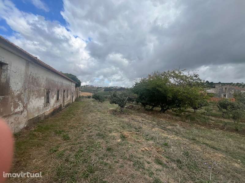 Quintinha com Moradia e Pomar em Carvalhal, Bombarral - Grande imagem: 4/25
