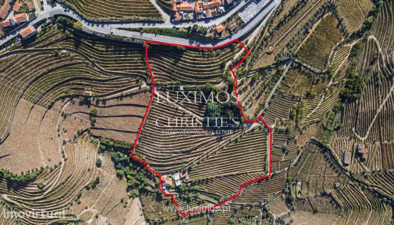 Quinta Vinícola à venda no Douro Valley em Cambres, Lamego - Grande imagem: 3/38