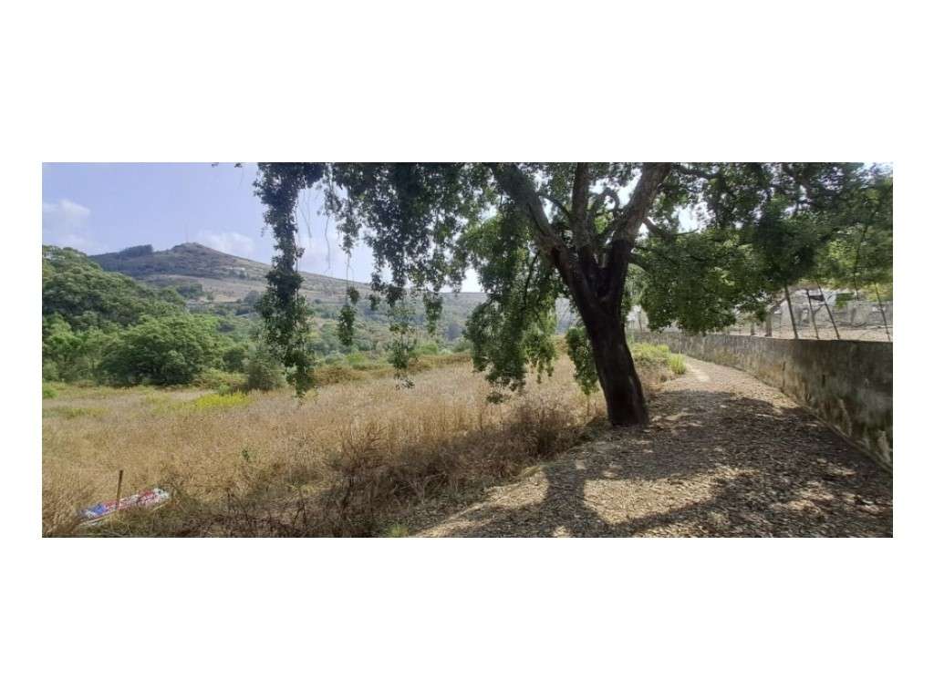 Terreno para Venda em Loures - Grande imagem: 3/11