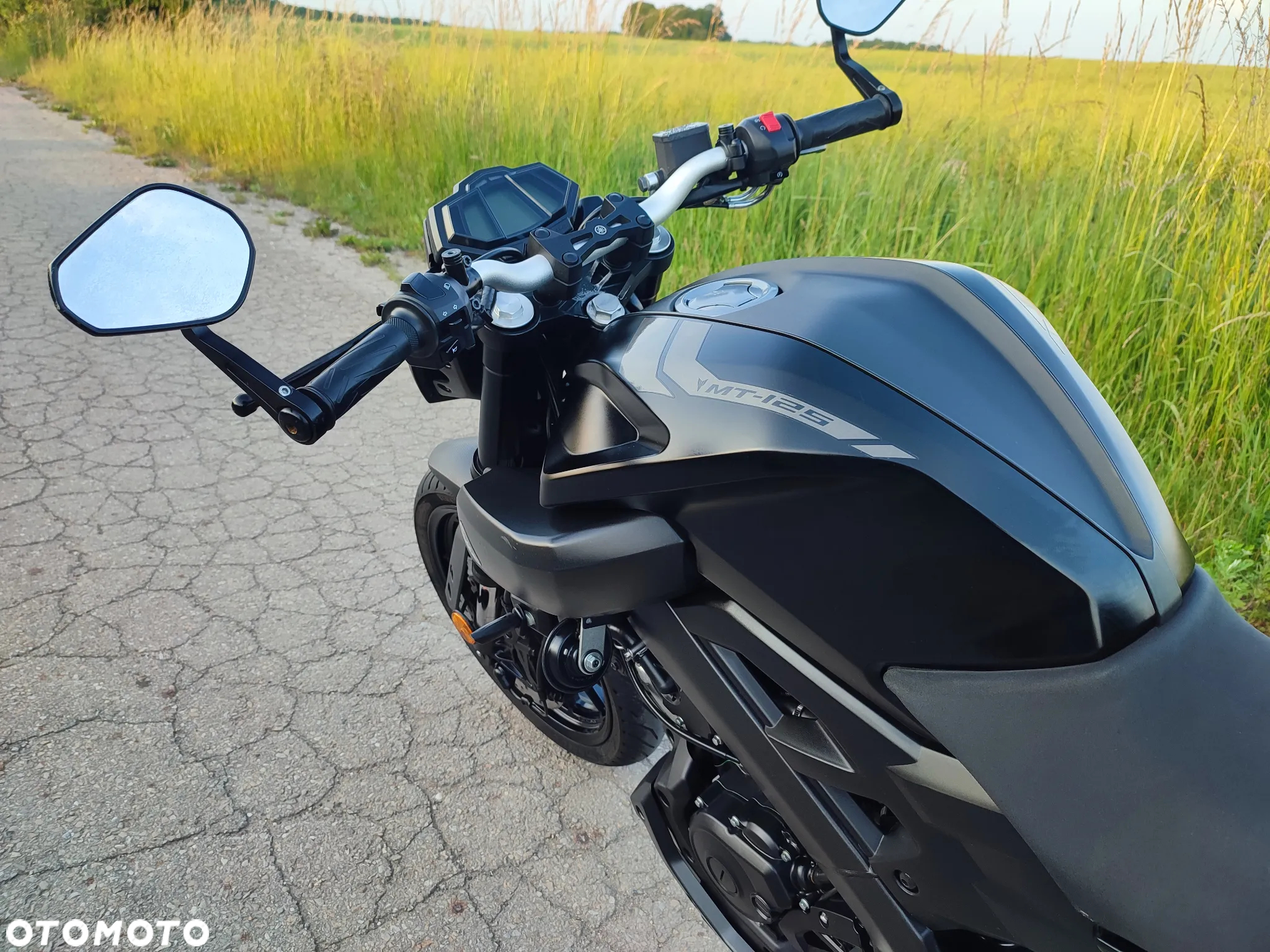 Yamaha MT - 17