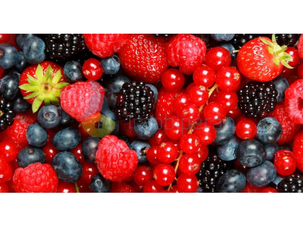 Propriedade - Estufas que se constitui por duas quintas a 1km de di... - Grande imagem: 2/2