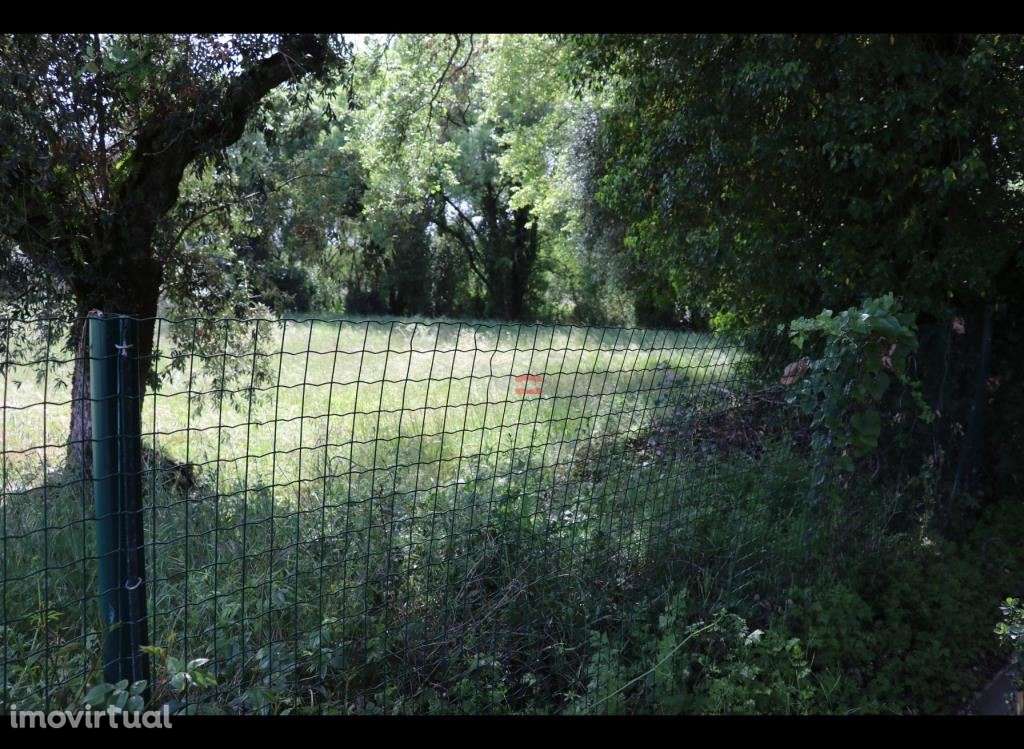 Moradia - Grande imagem: 5/14