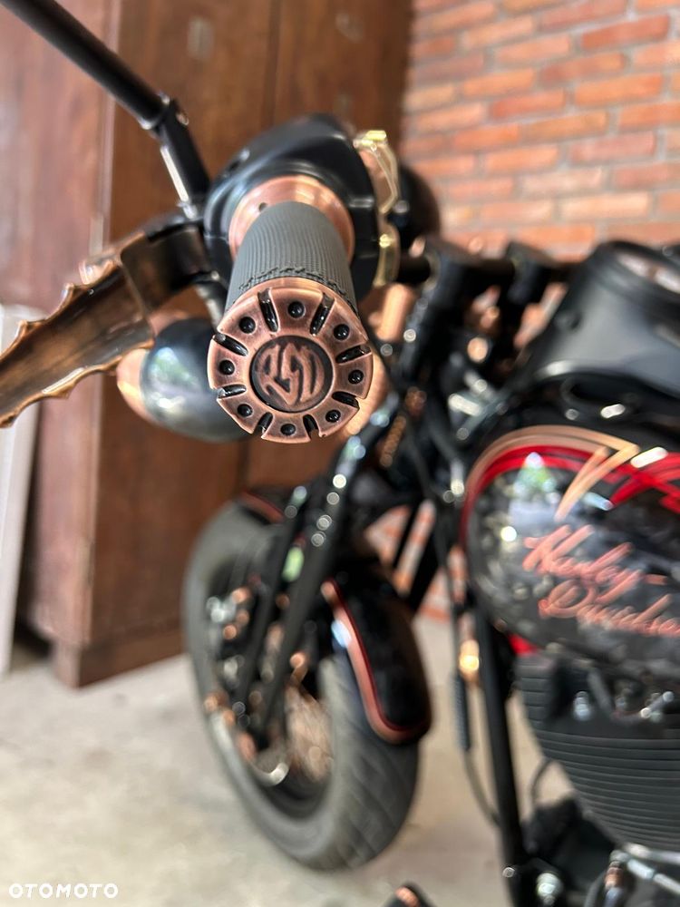 Harley-Davidson Softail Cross Bones - 6