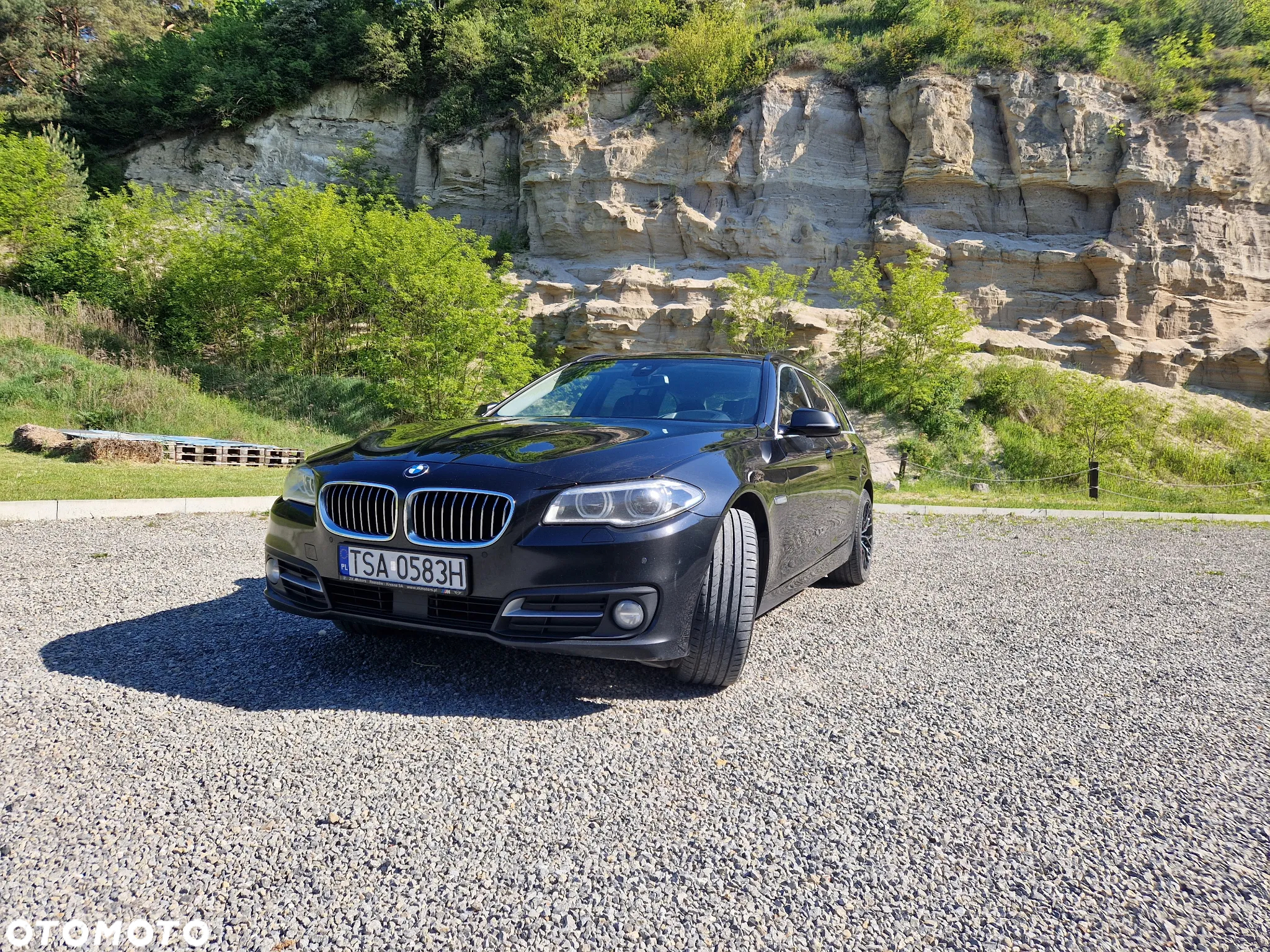 BMW Seria 5 520d xDrive Business Edition - 2