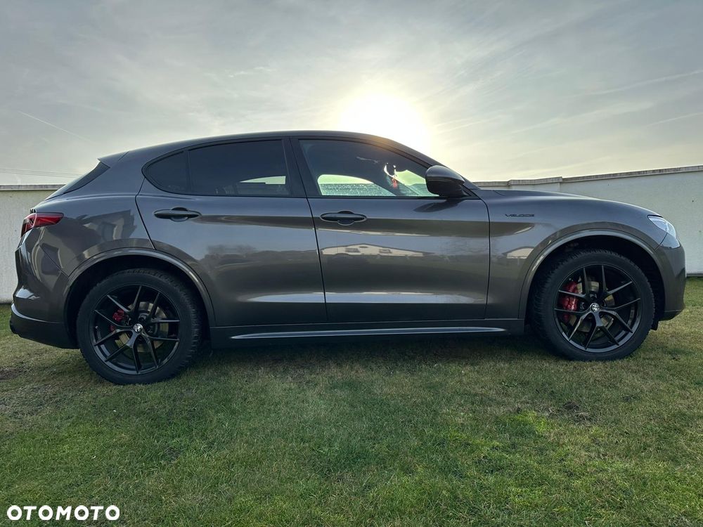 Alfa Romeo Stelvio 2.0 Turbo Veloce Q4 - 3