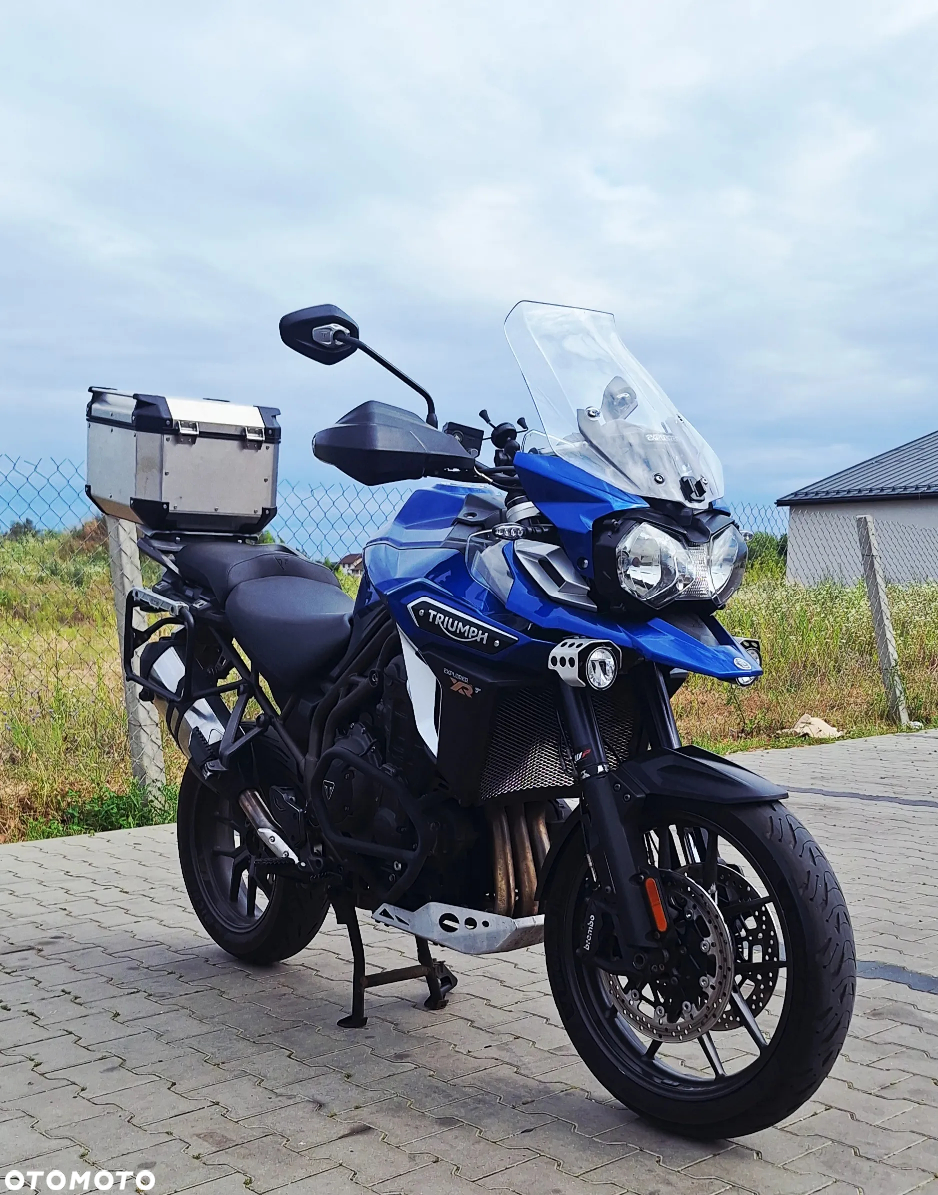 Triumph Tiger - 8