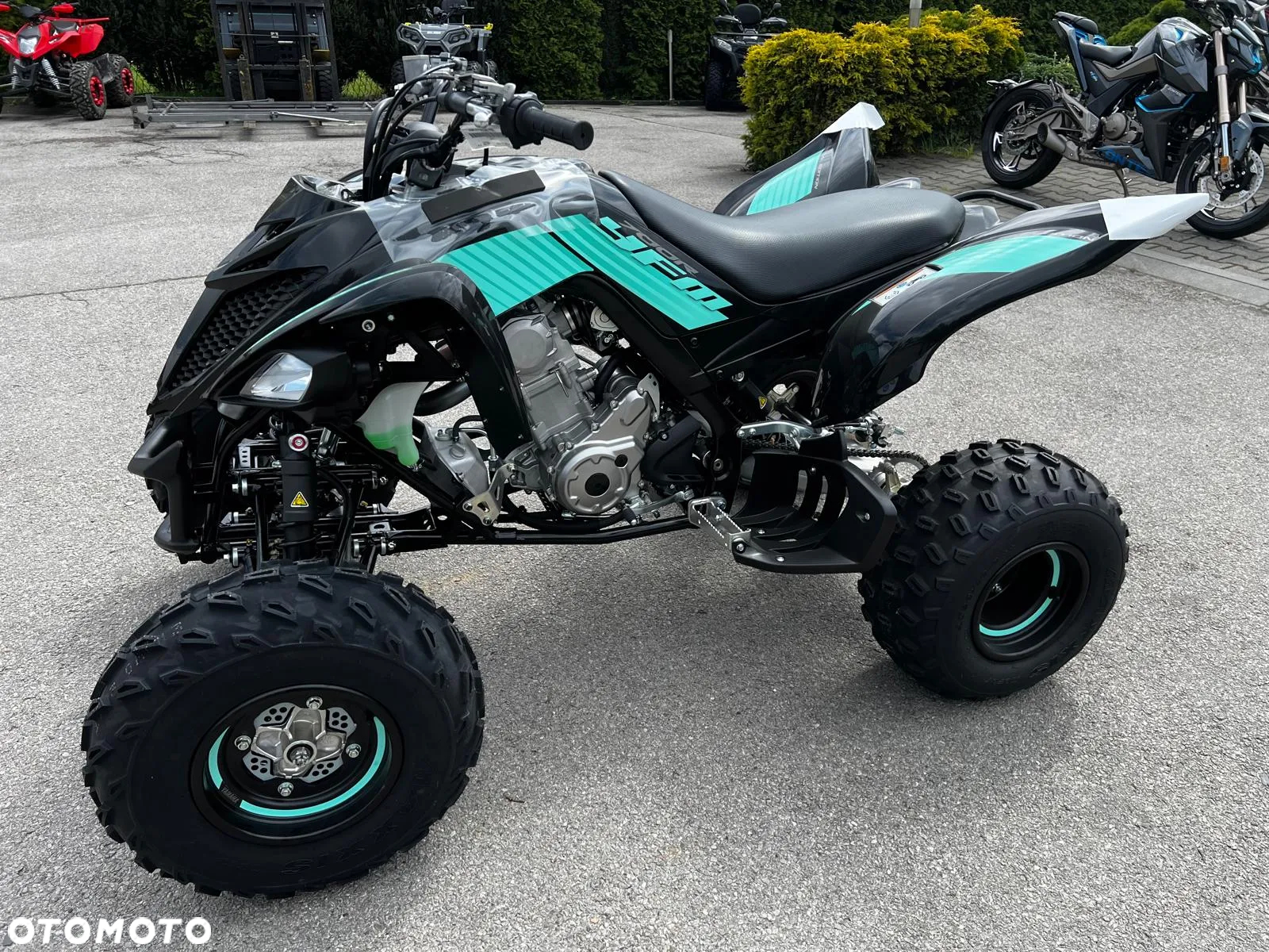 Yamaha Raptor - 19