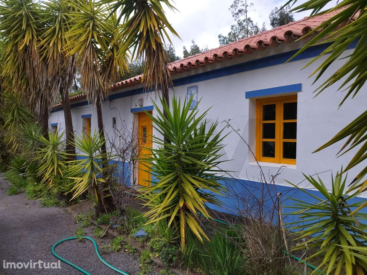 Moradia Térrea com 2,5ha em Monchique – Muita Água, Natureza e Privaci - Grande imagem: 3/29