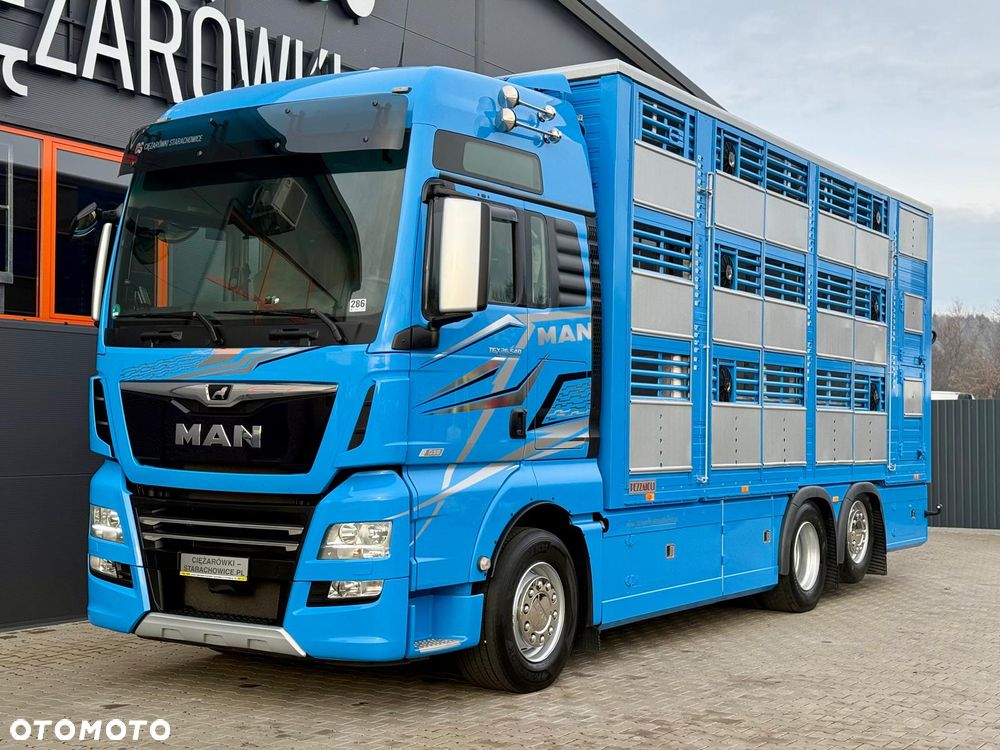 MAN TGX 26.540 // E6 // Zabudowa PEZZAIOLI // 3 poziomy hydraulika, podnoszony dach, rampa hydrauliczna // do żywca, do bydła, do transportu zwierząt - 2