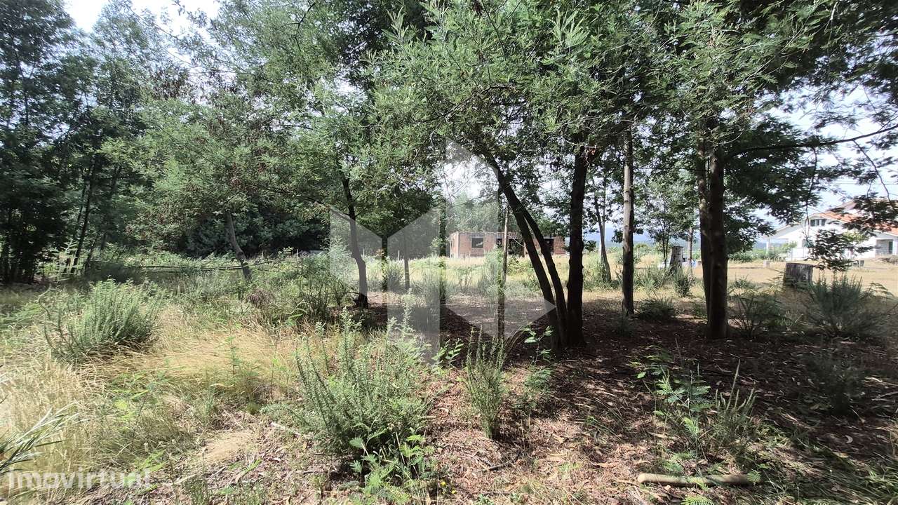 Terreno Para Construção  Venda em Molelos,Tondela - Grande imagem: 5/10