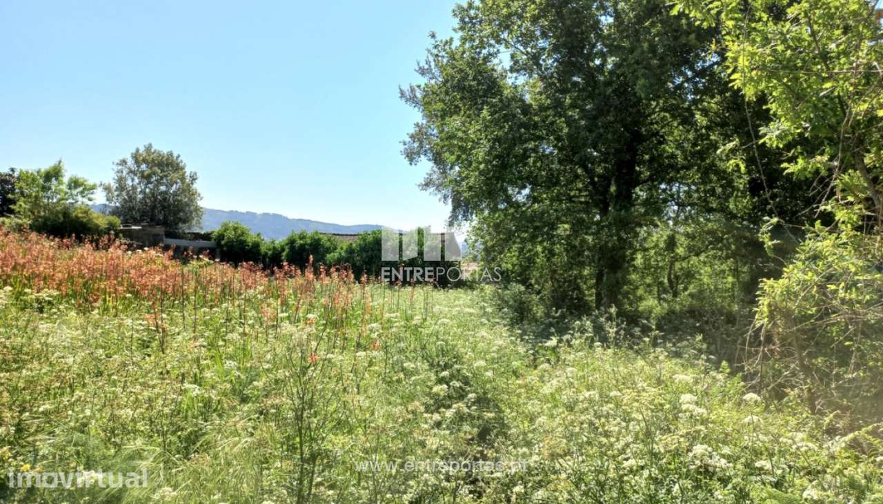 Venda de Terreno, Cardielos, Viana do Castelo - Grande imagem: 4/24