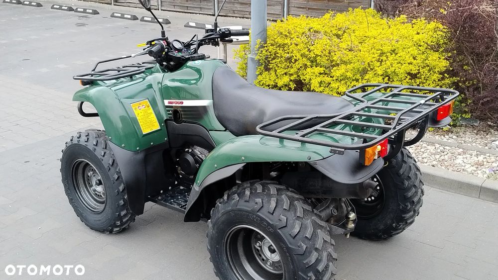 Kawasaki Brute Force - 6