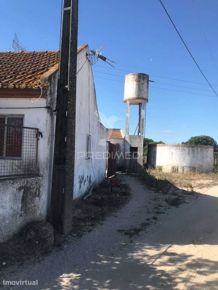 Quinta Agrícola em Produção Contínua com 8,25 Hectares e Habitação... - Grande imagem: 3/27