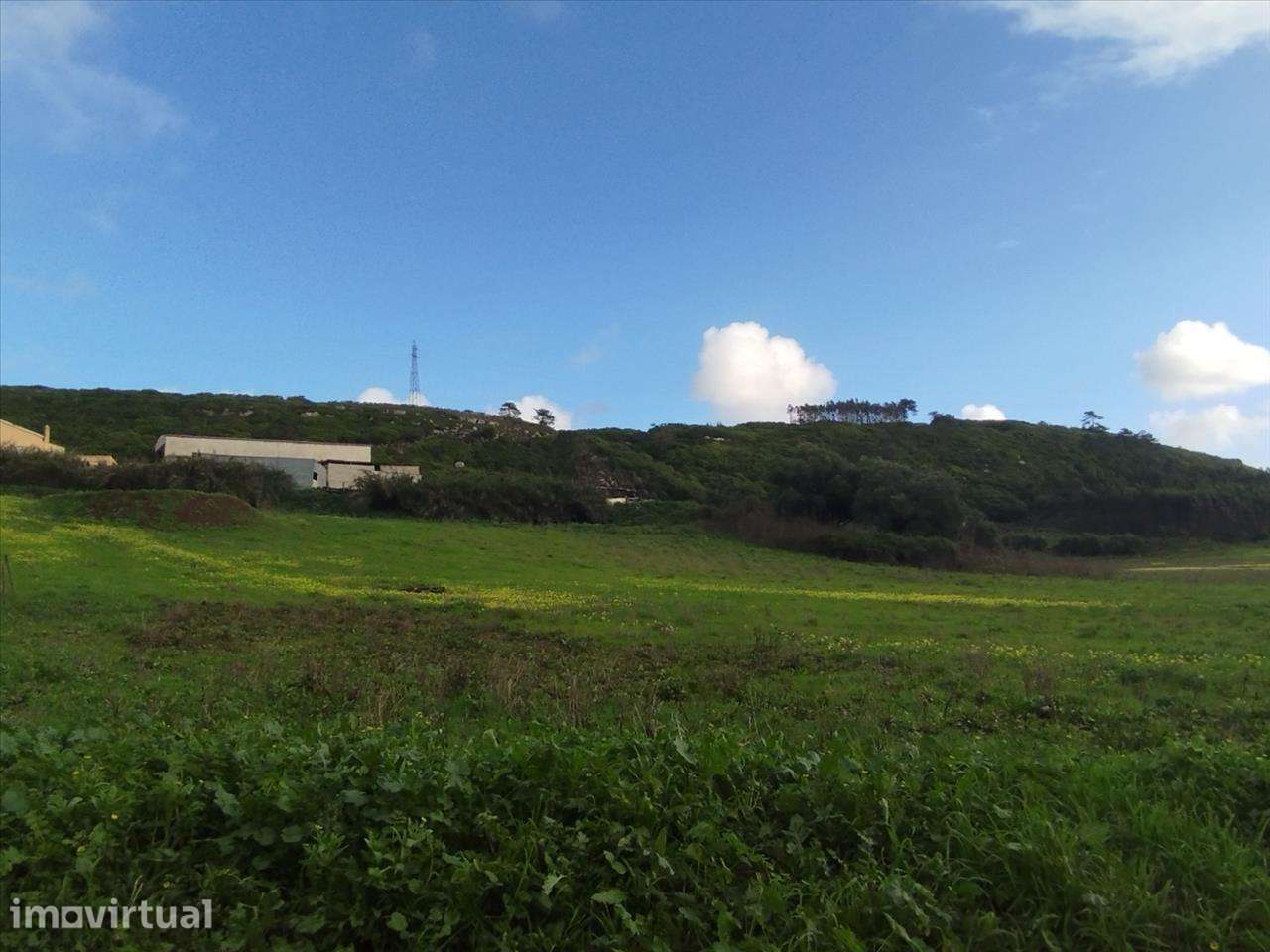 Terreno em Lourinhã, São Bartolomeu Galegos - Grande imagem: 3/12