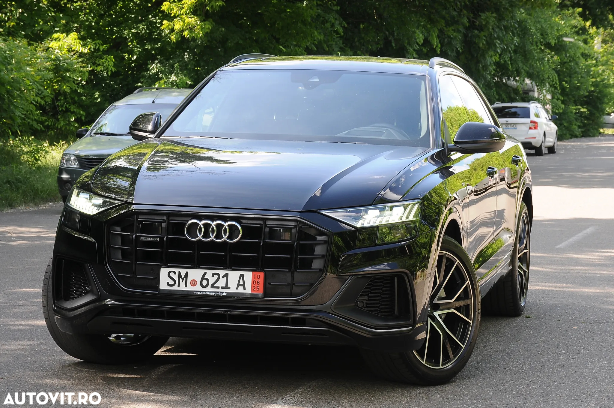 Audi Q8 50 TDI quattro Tiptronic MHEV - 25