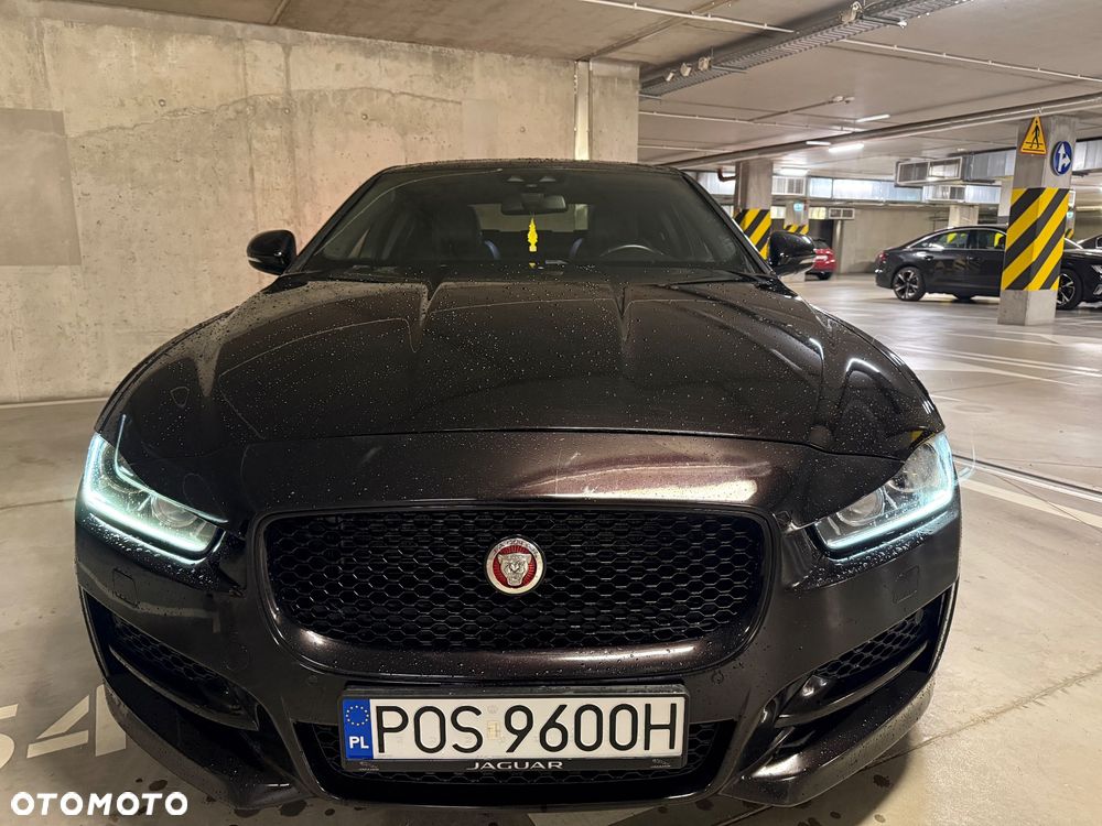 Jaguar XE - 18