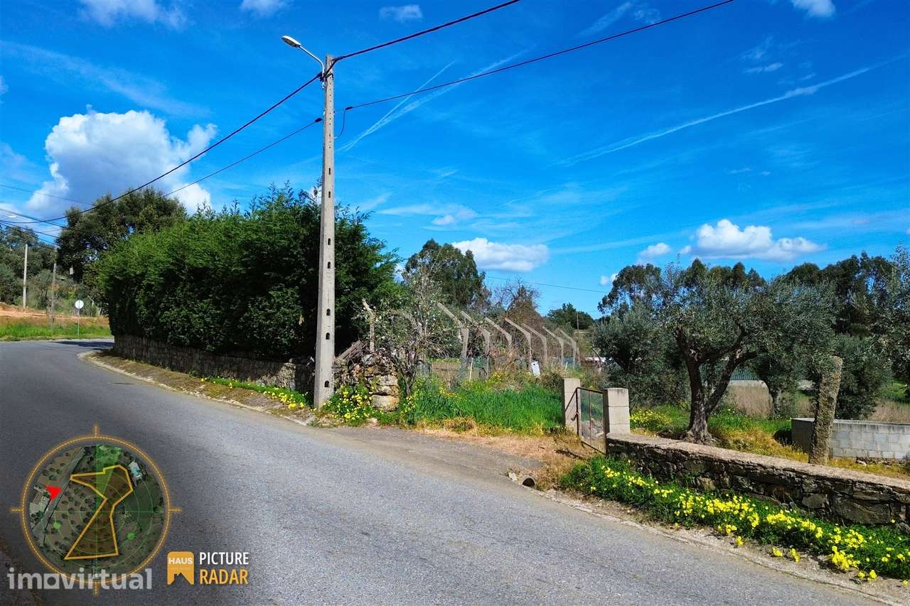 Terreno 2.680m² | Poço e Olival | Palvarinho, Castelo Branco - Grande imagem: 5/20