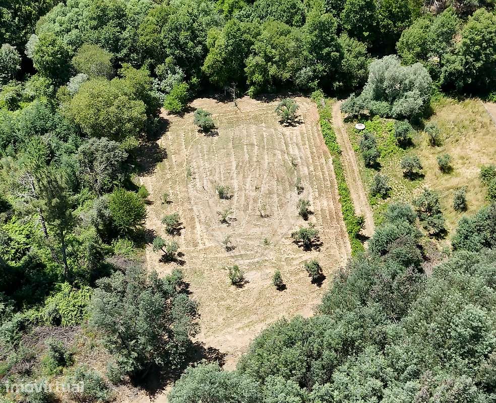 Terreno  para venda - Grande imagem: 5/7