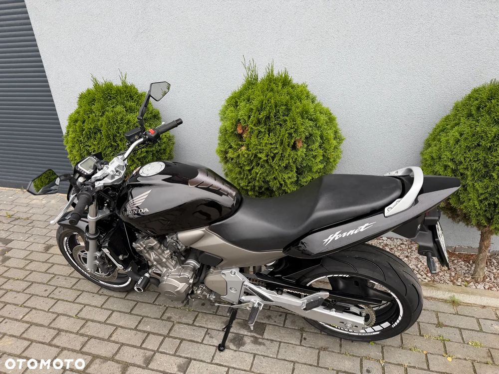 Honda Hornet - 40