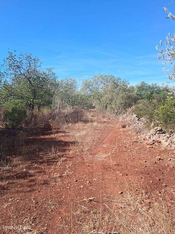 Terreno  para venda - Grande imagem: 3/20