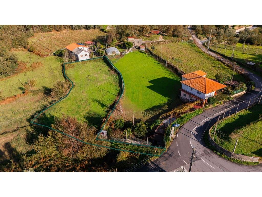 Terreno Agrícola com 2.700 m² em Sobradelo da Goma - Uma Oportunida... - Grande imagem: 5/6