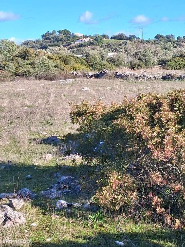 Terreno Rústico nas Almargens. - Grande imagem: 4/7