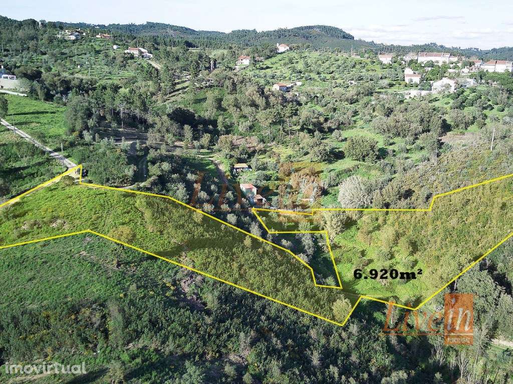 Terreno Rústico com 6920 m² em Tomar - Grande imagem: 3/4