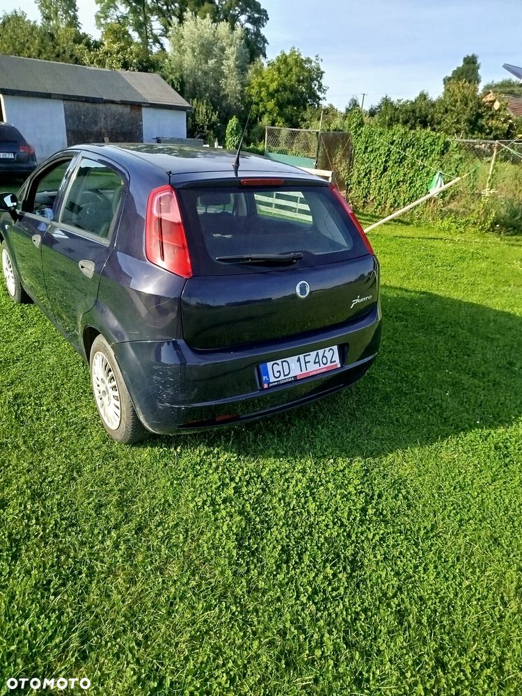 Fiat Punto - 5