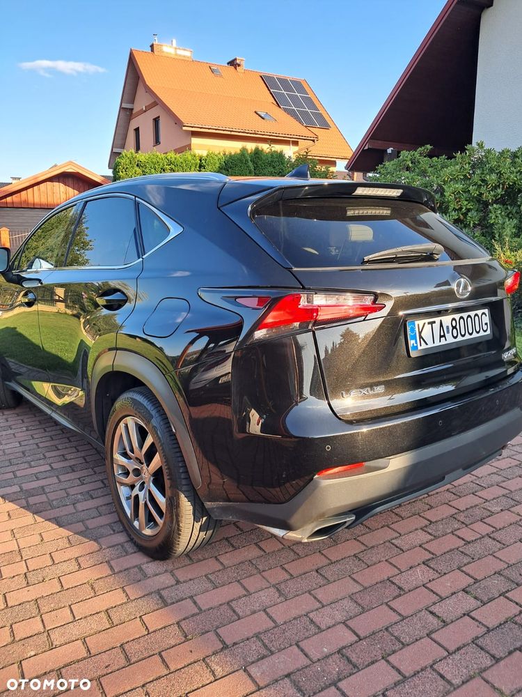 Lexus NX - 24