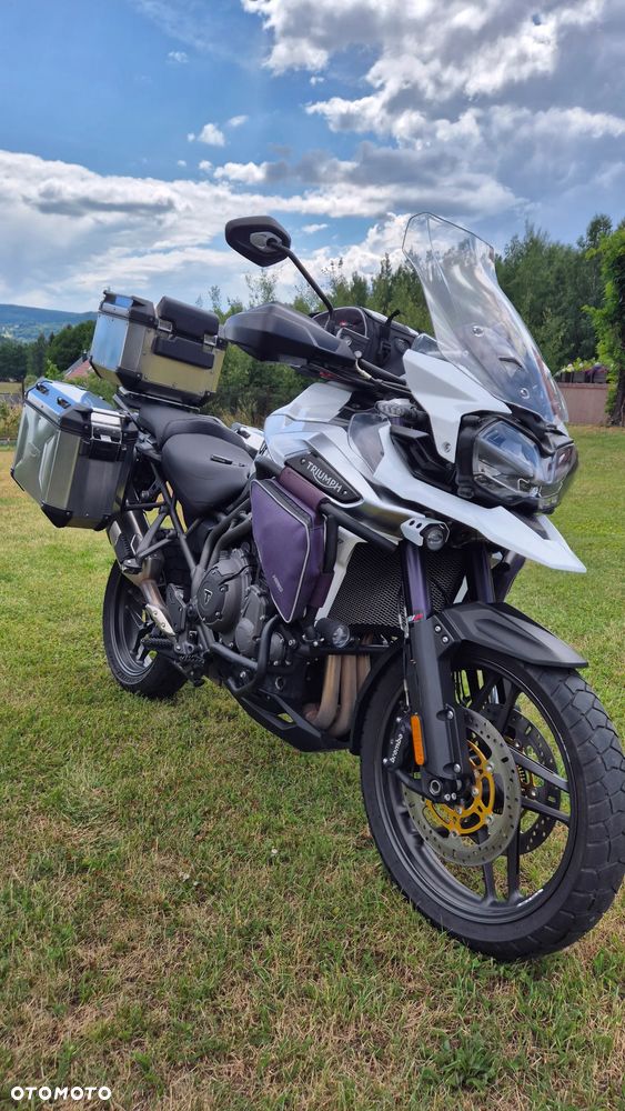 Triumph Tiger - 22