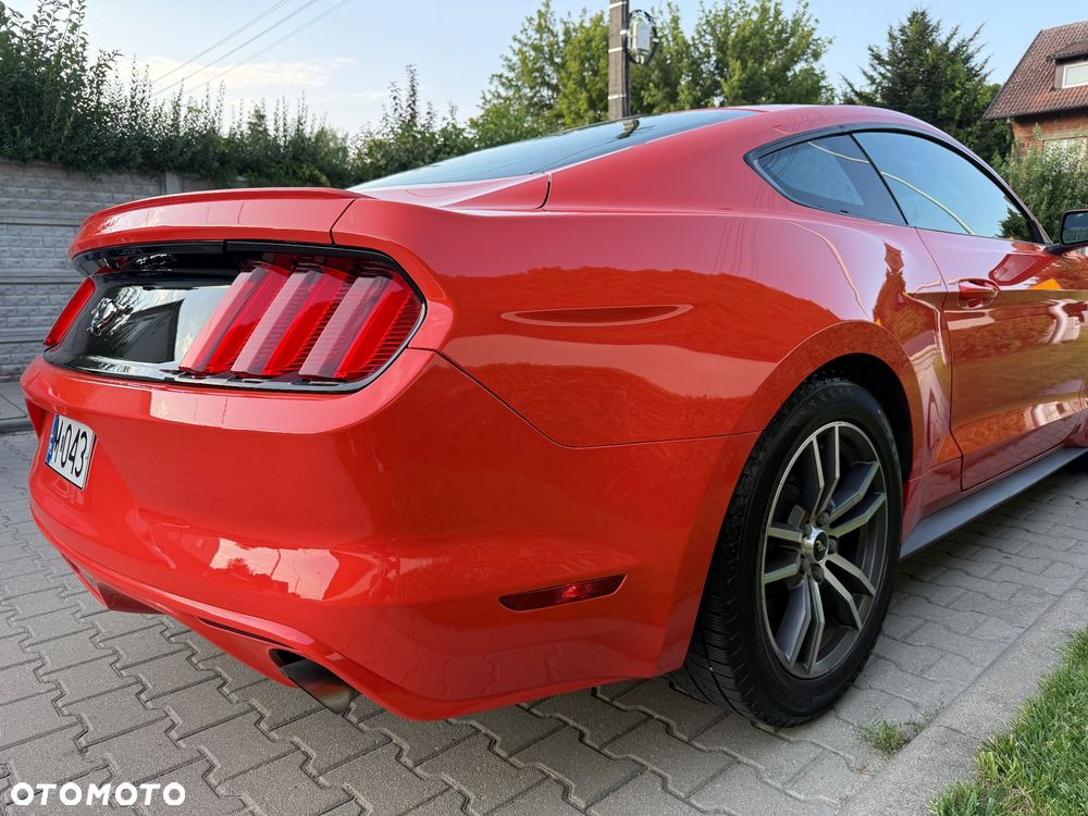 Ford Mustang 2.3 EcoBoost - 13