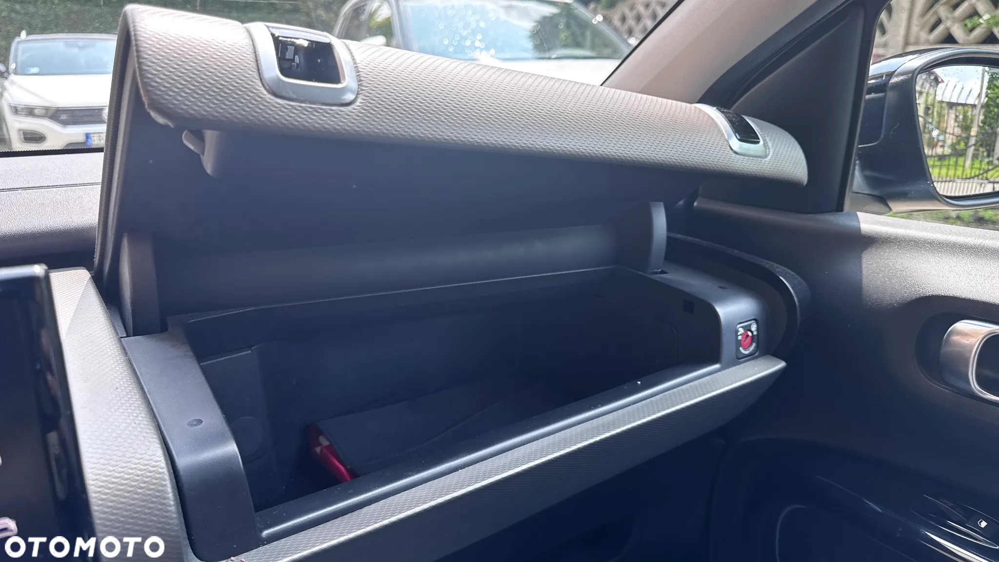 Citroën C4 Cactus - 30