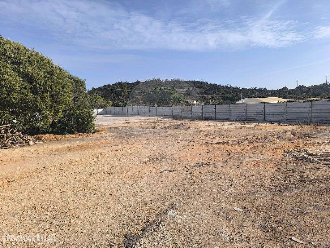 Armazém  para arrendamento - Grande imagem: 3/4