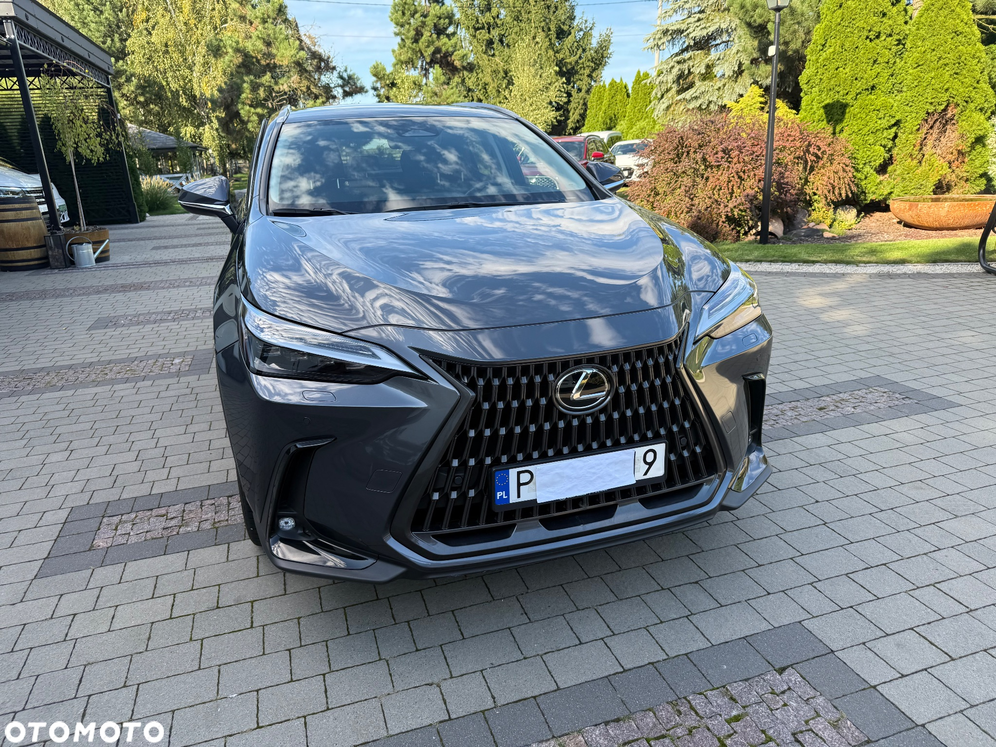 Lexus NX 350h Prestige AWD - 9