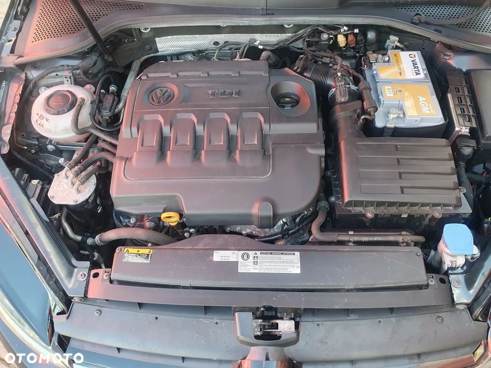 Volkswagen Golf 1.6 TDI BlueMotion Technology DSG Allstar - 9