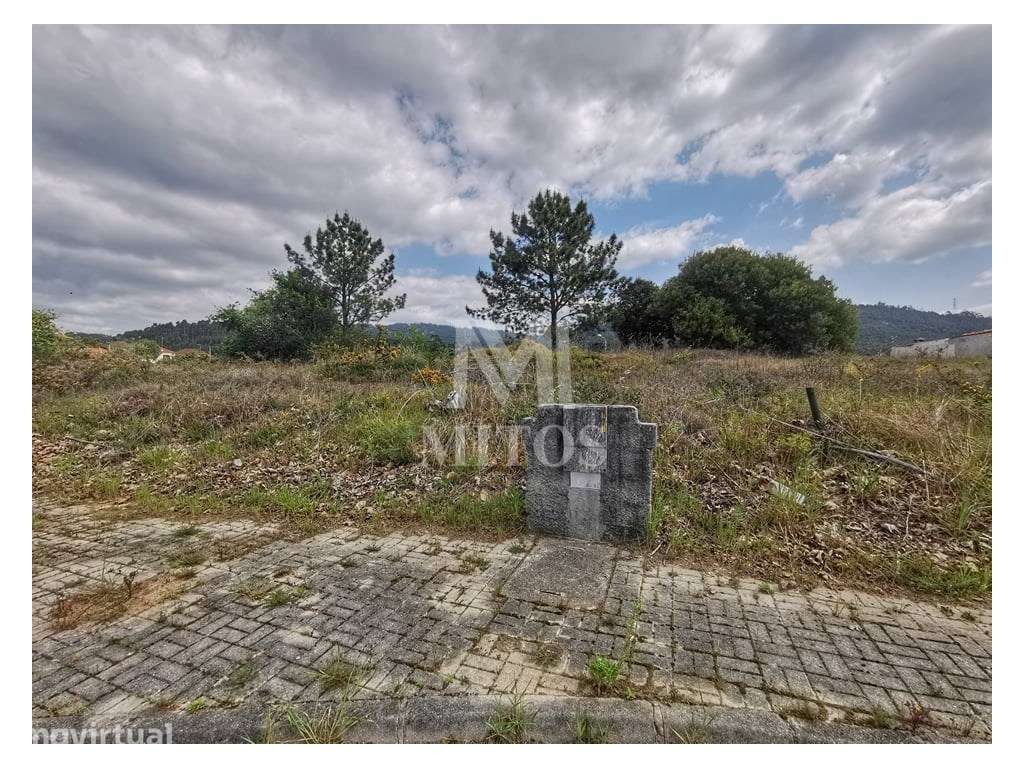 Excelente lote de construção para moradia térrea - Mujães - Grande imagem: 2/5