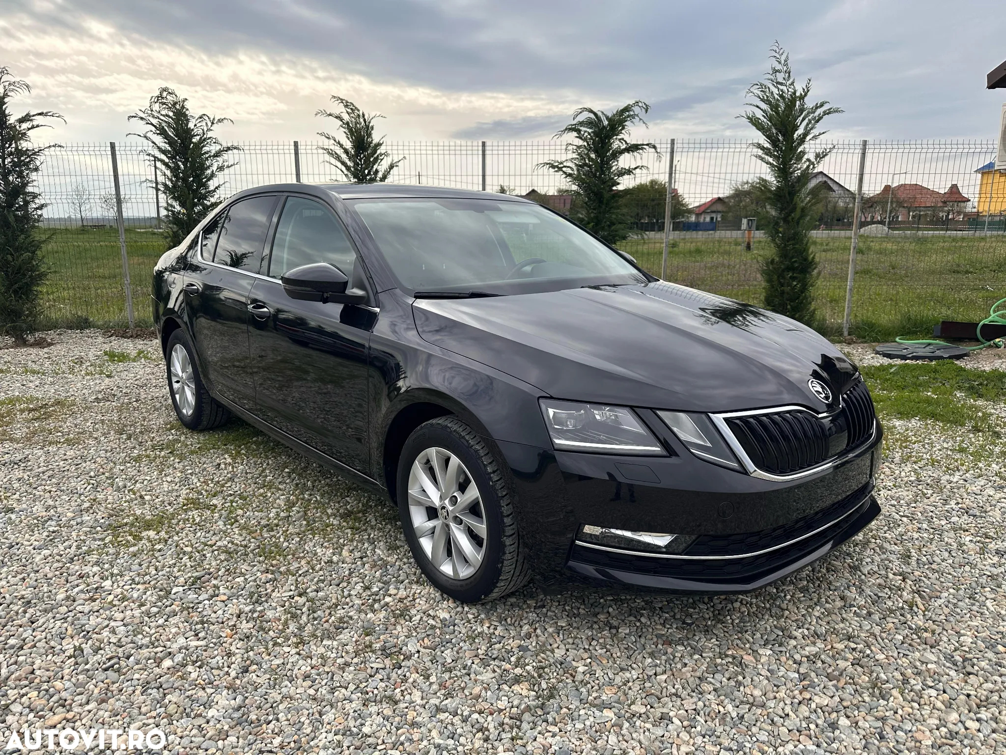 Skoda Octavia 1.0 TSI (Green tec) DSG Ambition - 2