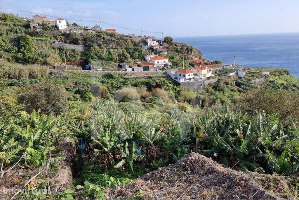 Terreno na Calheta.  Para Construção de moradias. vista mar - Grande imagem: 2/15