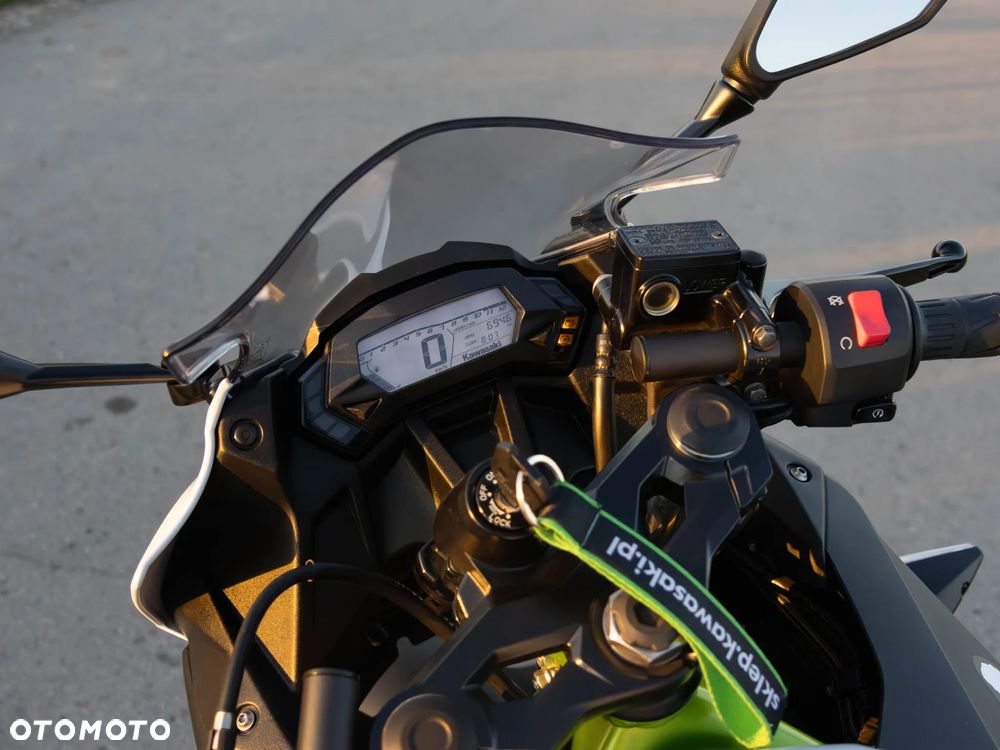 Kawasaki Ninja - 10