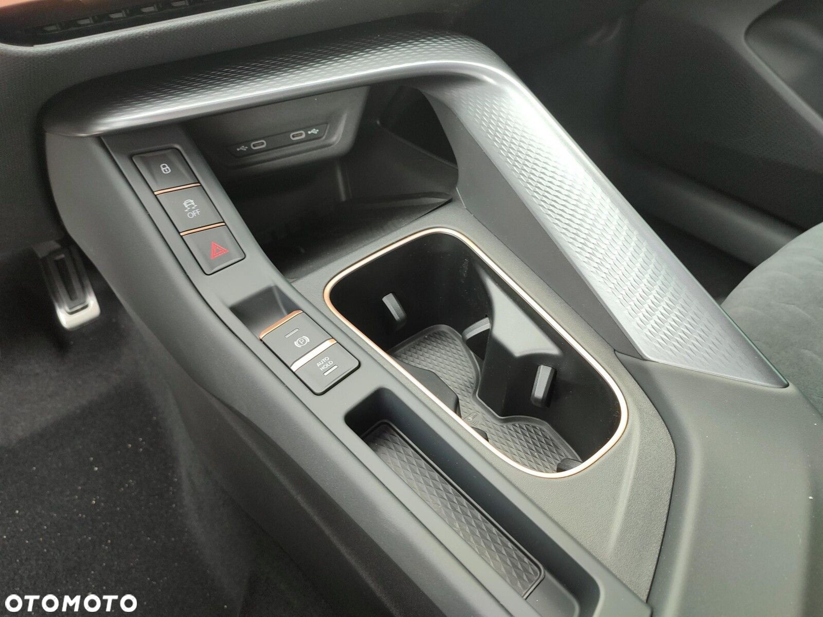 Cupra Terramar - 15