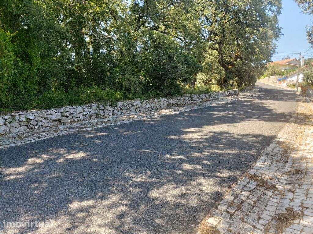 Terreno misto em Alvados e Alcaria - Grande imagem: 5/5